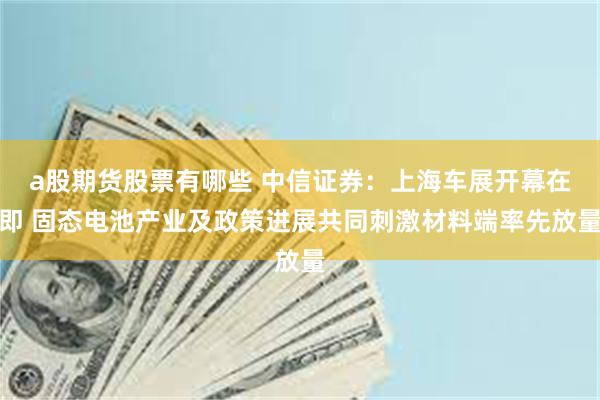 a股期货股票有哪些 中信证券：上海车展开幕在即 固态电池产业及政策进展共同刺激材料端率先放量