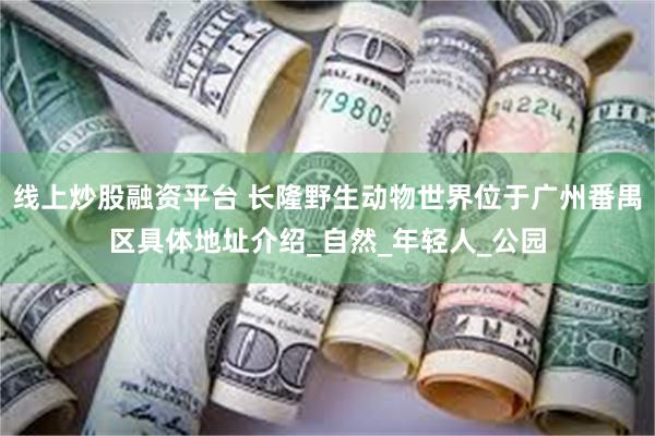 线上炒股融资平台 长隆野生动物世界位于广州番禺区具体地址介绍_自然_年轻人_公园
