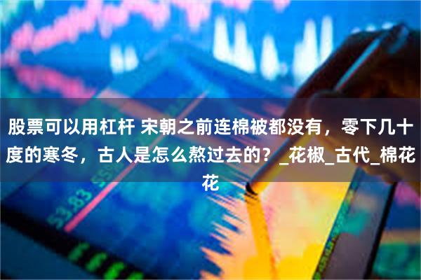 股票可以用杠杆 宋朝之前连棉被都没有，零下几十度的寒冬，古人是怎么熬过去的？_花椒_古代_棉花