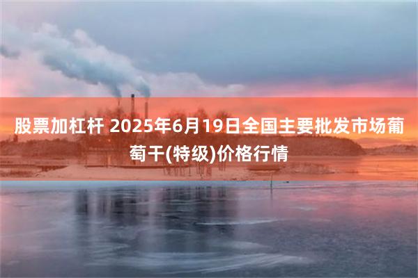 股票加杠杆 2025年6月19日全国主要批发市场葡萄干(特级)价格行情