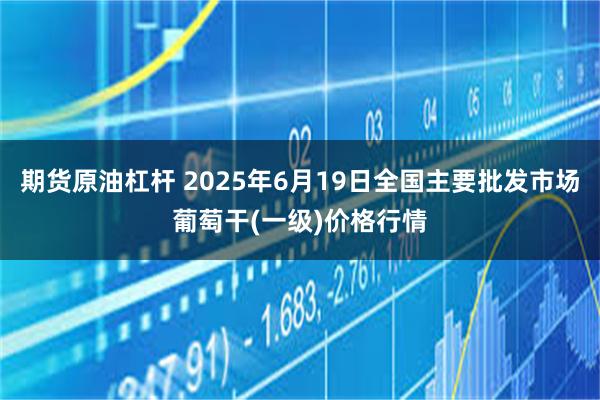 期货原油杠杆 2025年6月19日全国主要批发市场葡萄干(一级)价格行情