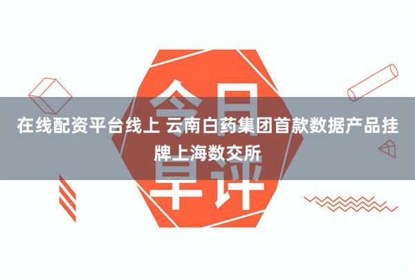 在线配资平台线上 云南白药集团首款数据产品挂牌上海数交所