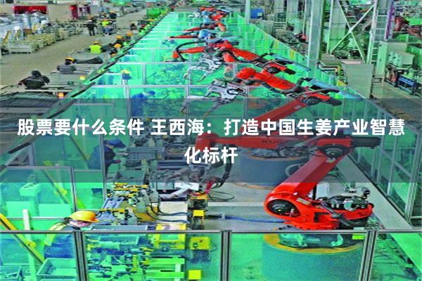 股票要什么条件 王西海：打造中国生姜产业智慧化标杆