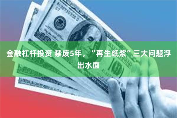 金融杠杆投资 禁废5年，“再生纸浆”三大问题浮出水面