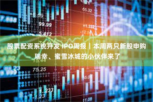 股票配资系统开发 IPO周报｜本周两只新股申购 瑞幸、蜜雪冰城的小伙伴来了