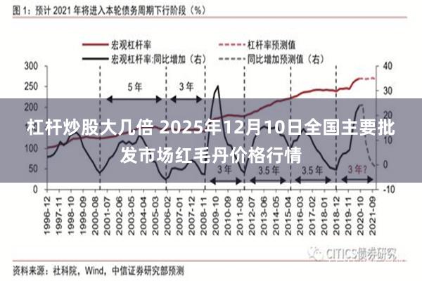 杠杆炒股大几倍 2025年12月10日全国主要批发市场红毛丹价格行情